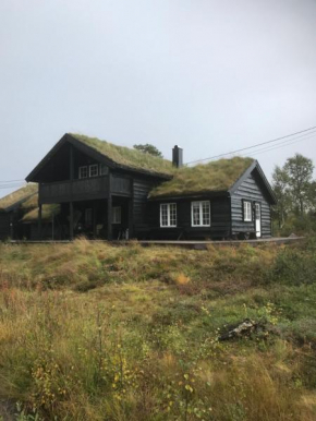 Remestøylflotti Hyttegrend